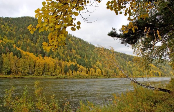 Сибирь осень природа