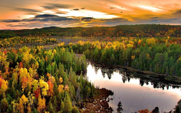 Таежные просторы Западной Сибири