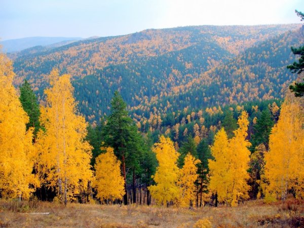 Природа Забайкальского края осенью