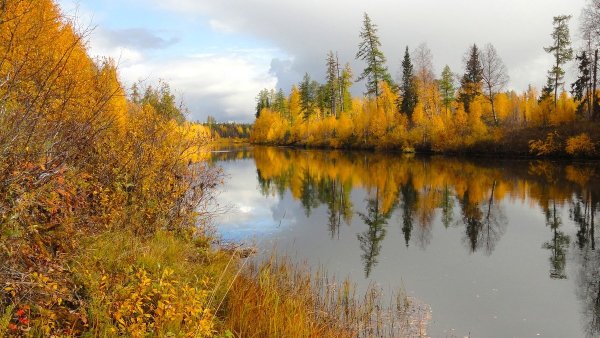Таежный Хабаровский край осень