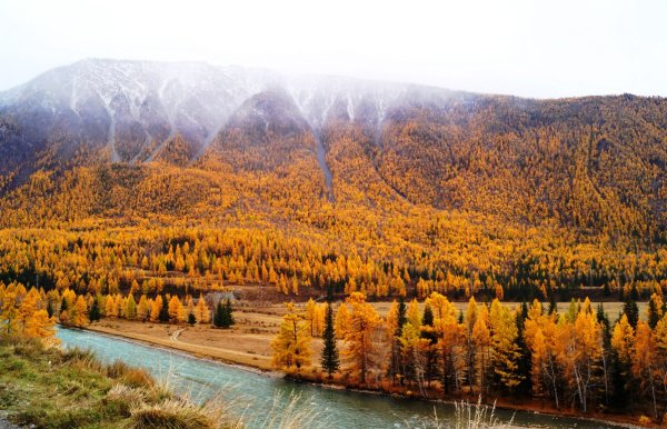 Чуйский тракт Золотая осень