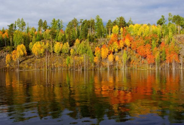 Золотая осень ХМАО Малиновский