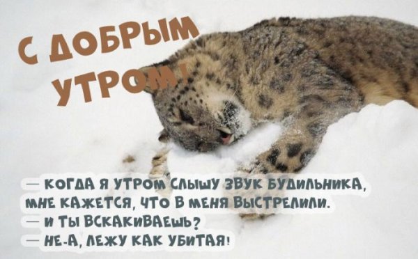 Доброе Снежное утро понедельника