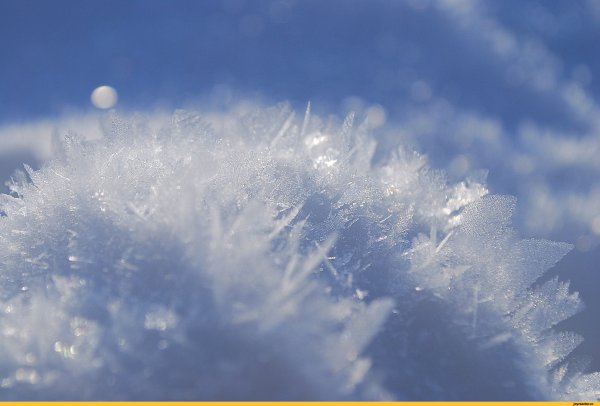 Снег картинки