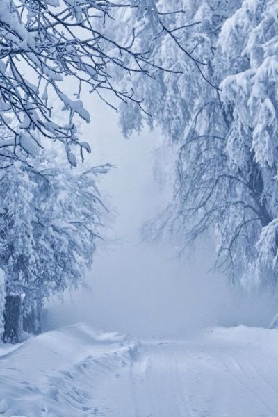 Снежная зима