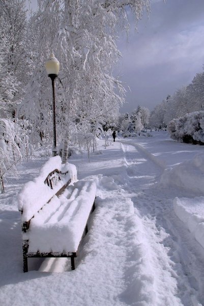 Зима много снега
