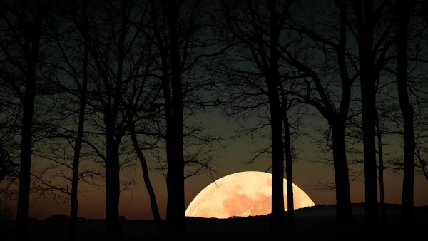 Сумерки природа Восход Луны