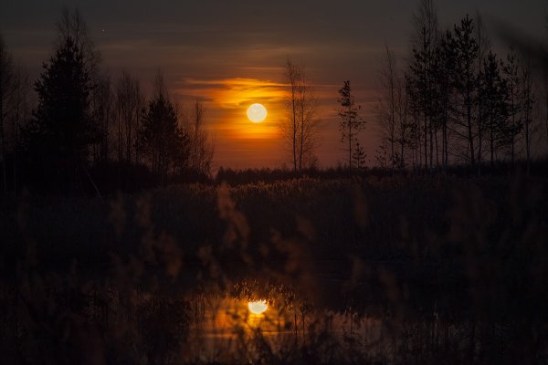Осенние пейзажи с луной