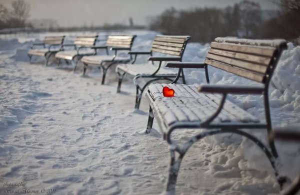 Скамейка в снегу