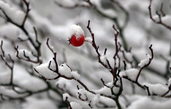 Грусть снег