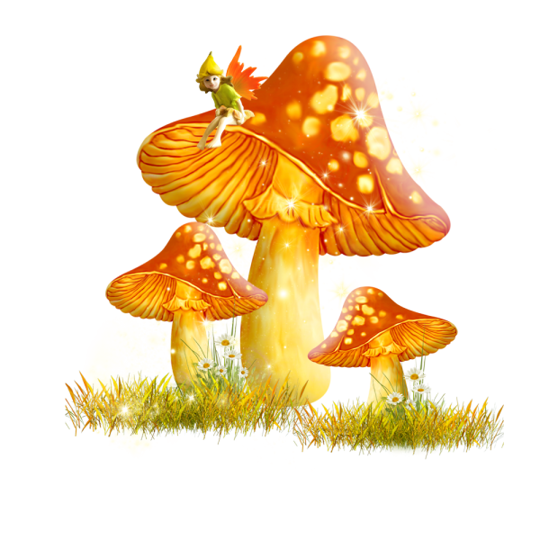 Осенние грибы для детей