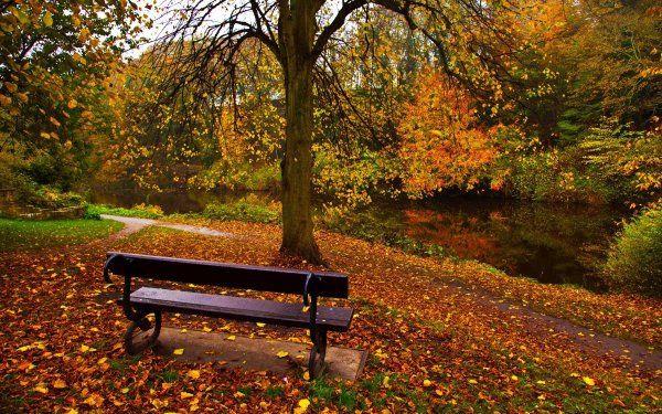 Екатерининский парк лавочки