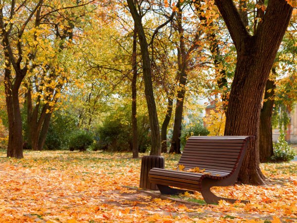 Осенний парк