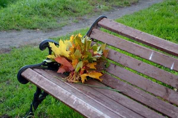 Букет на скамейке