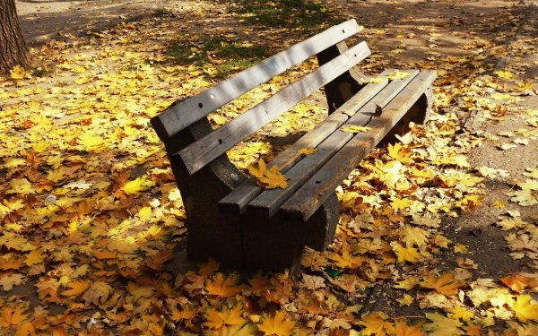 Осень скамейка
