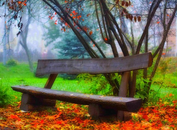 Шишкин скамейка в аллее