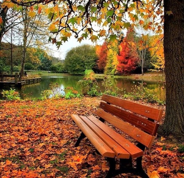 Осень в парке