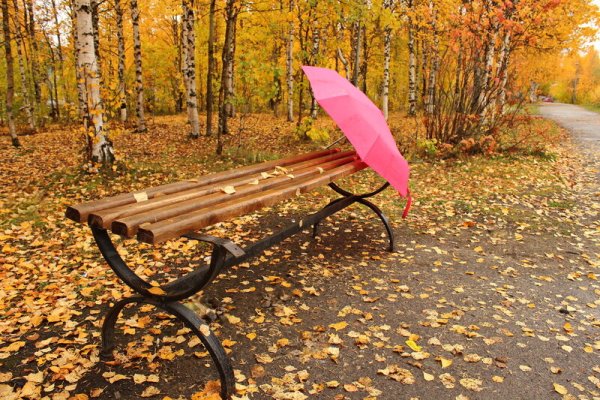 Скамейка с зонтом