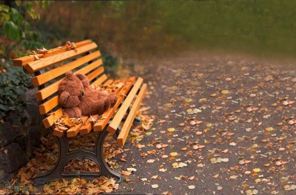 Осенний сад промокшая скамейка