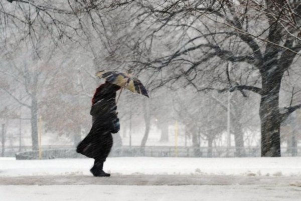 Сильный ветер зимой