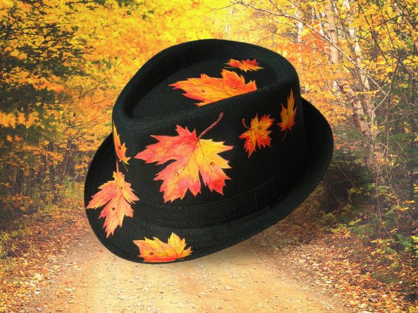 Головные уборы на осень