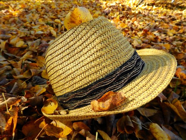 Шляпка листик