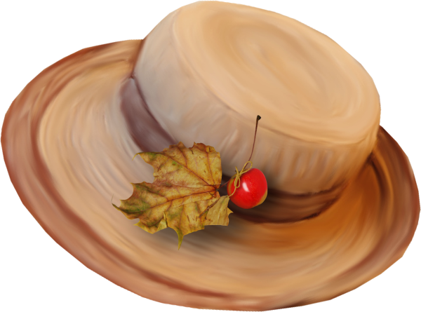 Шляпка осенняя на прозрачном фоне