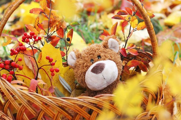 С днем рождения осень