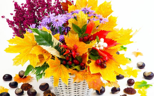 Яркий осенний букет