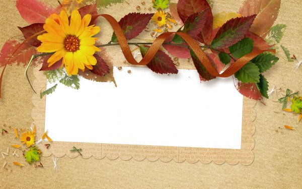 Фон для открытки с днем учителя