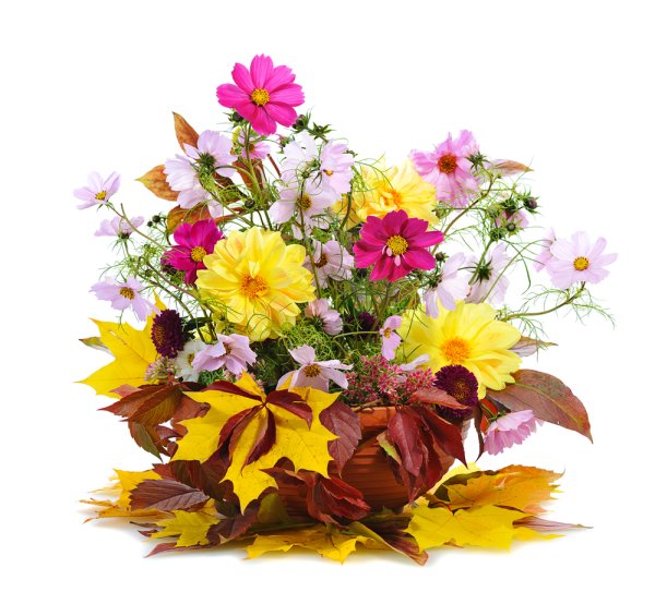 Осенний букет