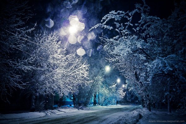 Ночной снегопад