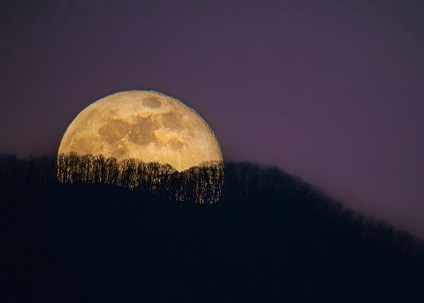Восход Луны над лесом