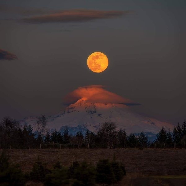 «Восход Луны над Нью-Мексико».