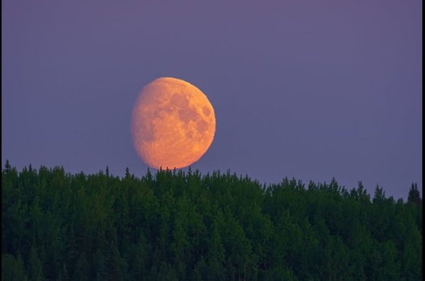 Огромная Луна на закате
