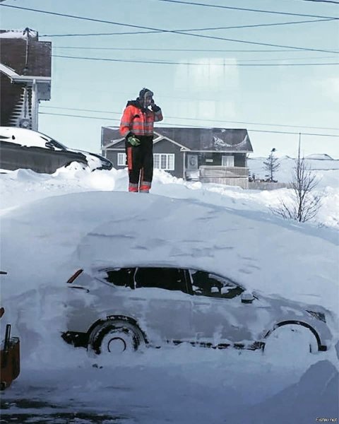 Много снега завалило