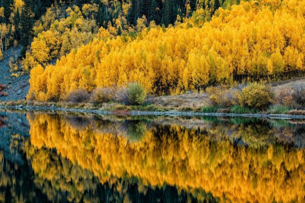 Золотая осень