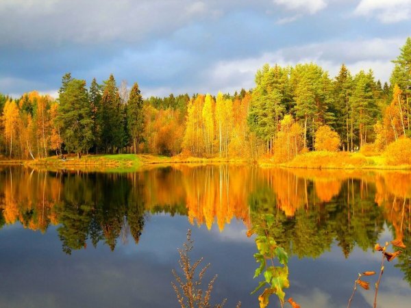 Осень природа река озеро лес