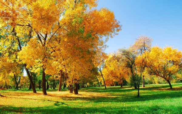 Природа ранняя осень