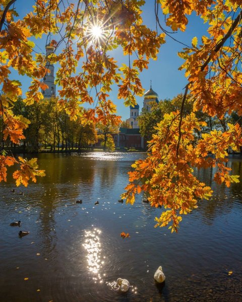Золотая осень