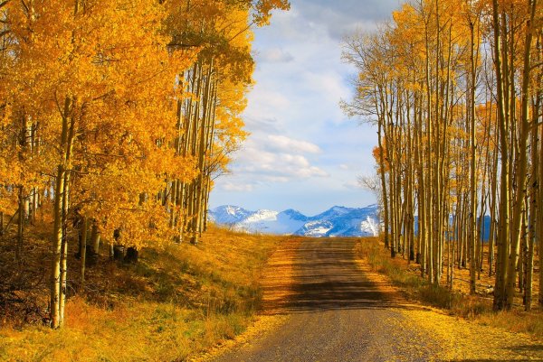 Золотая осень пейзаж