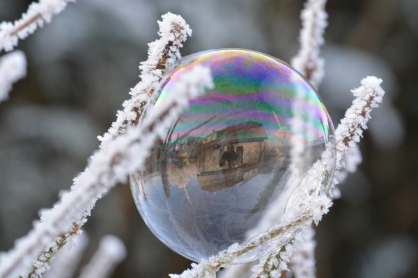 Мыльные пузыри зимой