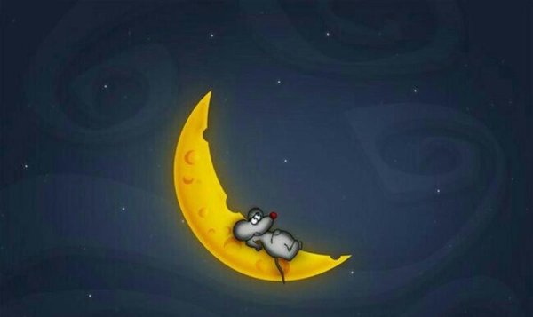 Мышь на Луне