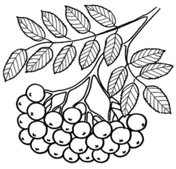 Трафареты на тему осень