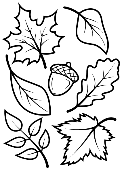 Раскраска осень для малышей