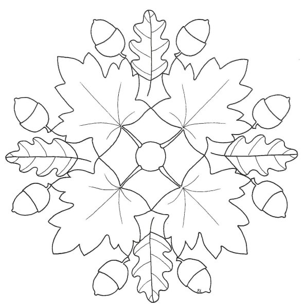 Осеннее дерево раскраска