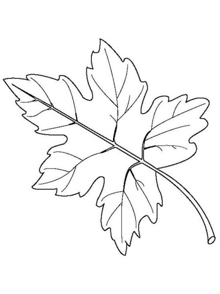 Лист рябины раскраска
