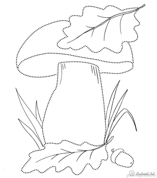 Осенние птицы раскраска