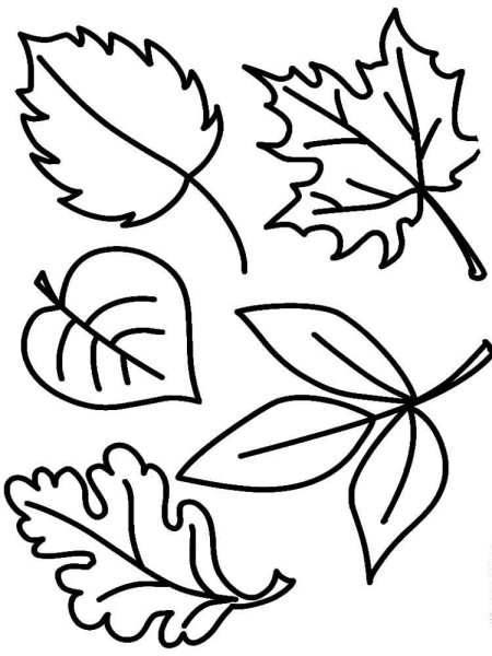Осенние листья раскраска для детей
