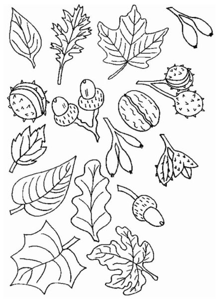 Трафареты кленовых листьев